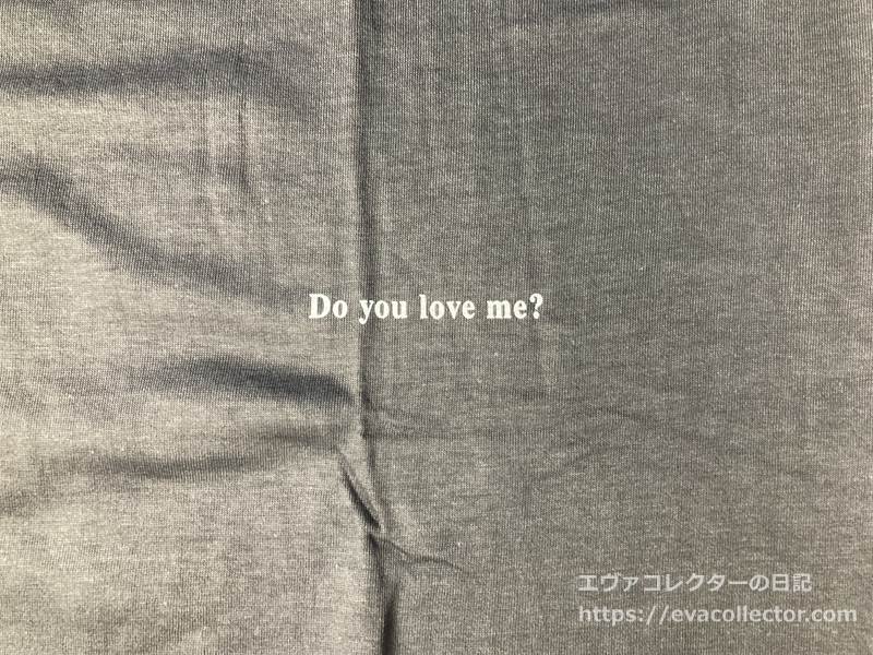 TVアニメ版の第弐拾伍話「終わる世界」での英字タイトル 「Do you love me?」